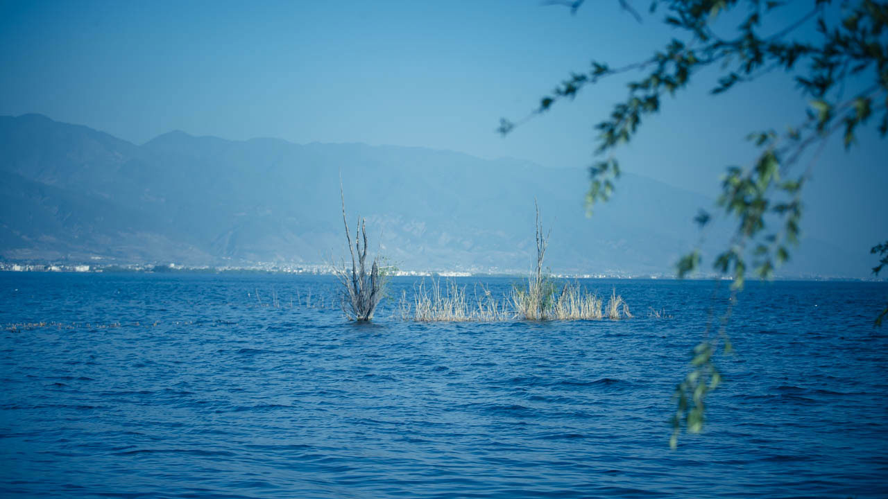 环洱海骑行